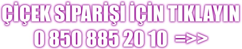 online �i�ek sipari�i verin